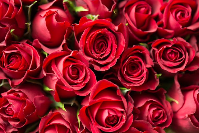Siropul de trandafiri: Rețete și secrete pentru delicatese parfumate