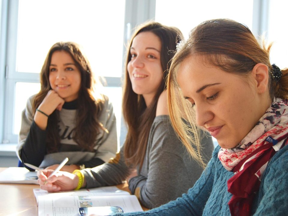 audit intern în București