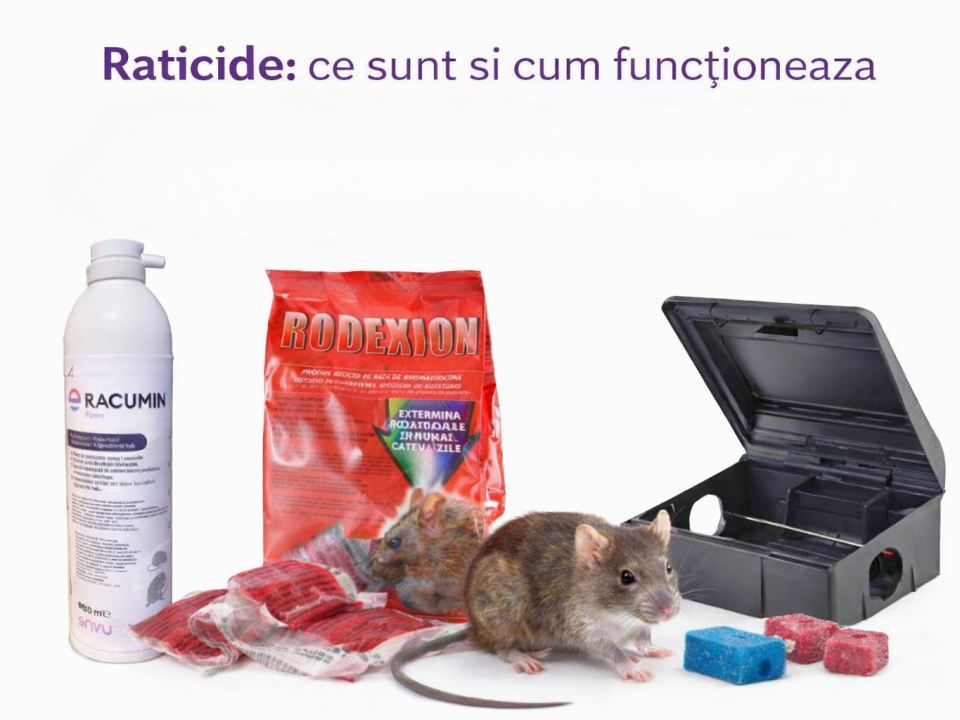 Rodentocid anticoagulant